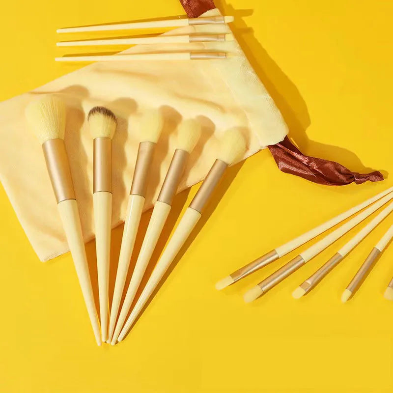 Professional 13-Piece Makeup Brush Set